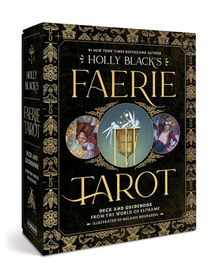 Holly Black's Faerie Tarot Deck and Guidebook